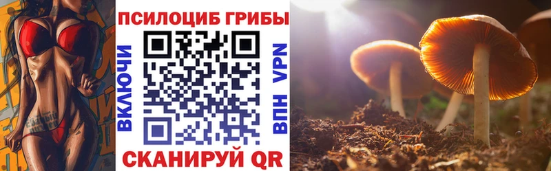 Купить  Камышин  Псилоцибиновые грибы Magic Shrooms 
